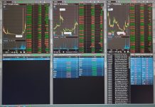 Newsweed trades stocks